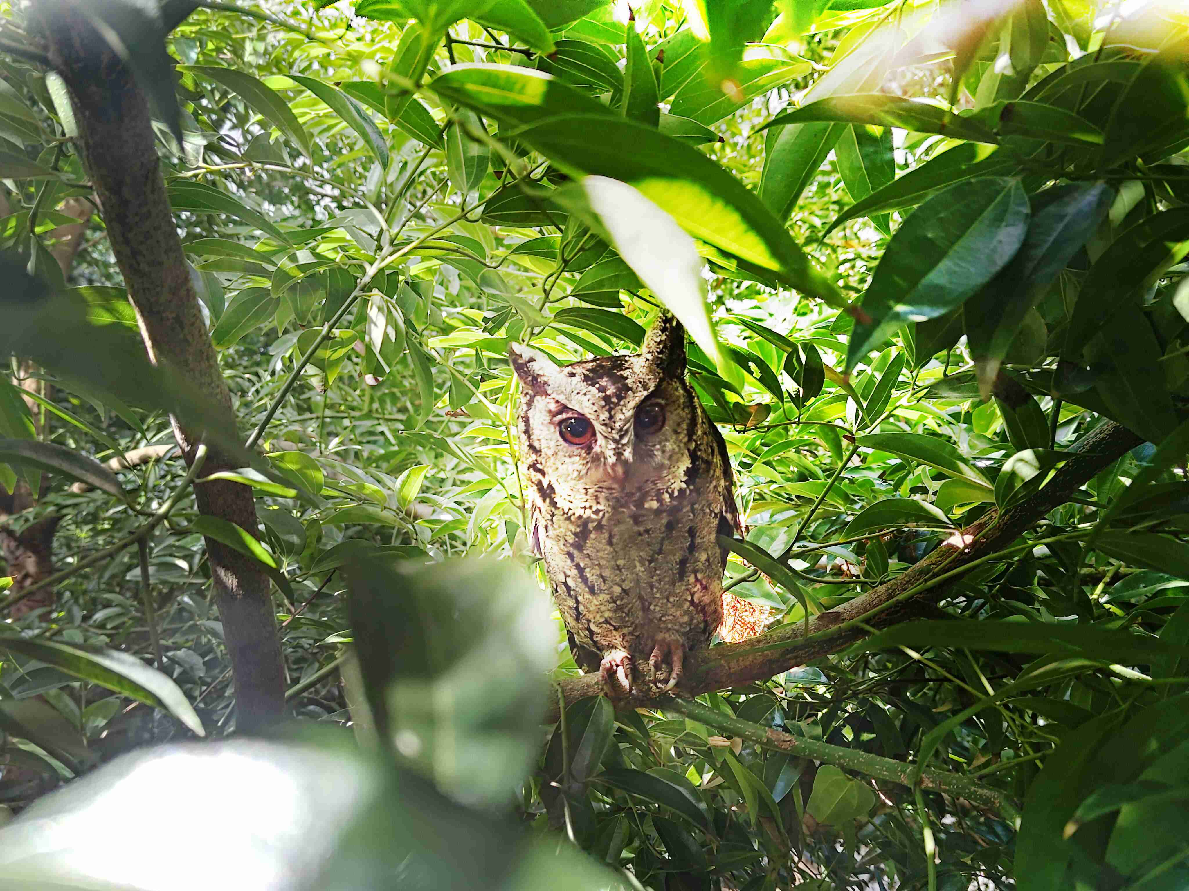 龙门国际致力提倡净零绿生活，，，16年以来在全球各厂区植树逾百万棵，，，，造就各厂区树木蔚然成林，，，，犹如森林工厂，，成为许多生物的栖息地